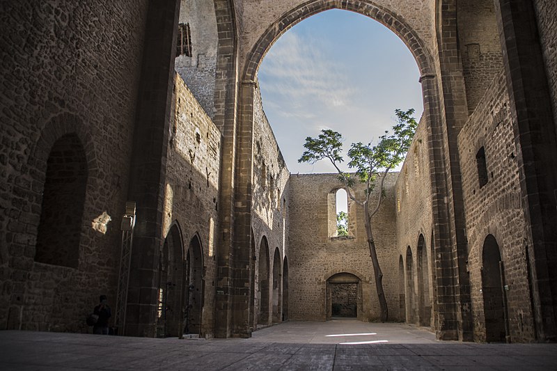 santa maria dello spasimo arcata e cielo